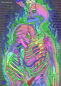 Acid &Amp; Tripp