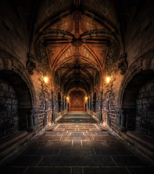 medieval-woman: The Dungeon by Jacob Surland  