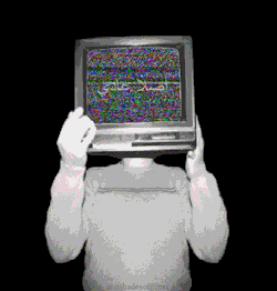 https://69.media.tumblr.com/460f7da3c6dcd41635e60b8d41ca0535/tumblr_mxjuhklnKL1sgj1qro1_500.gif