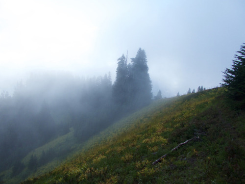 Cloudy Morning by John Sluder