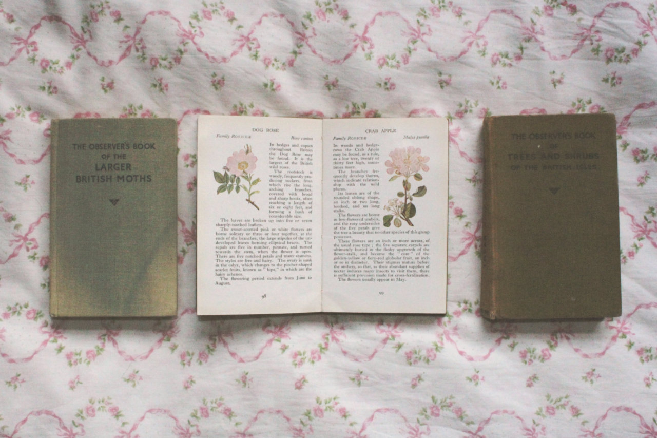 lonesnow:  early stages of my observers book collection! if anyone ever sees books