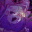 sleepysodaclown