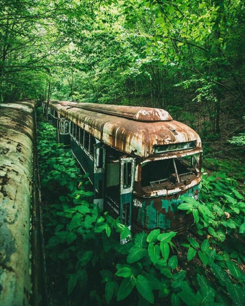 doyoulikevintage:Abandoned  Few things give me as much peace as images like this