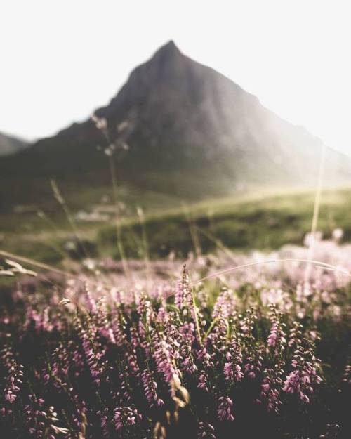 bon&mdash;-voyage: Buachaille Etive Mòr, Stuart Laing