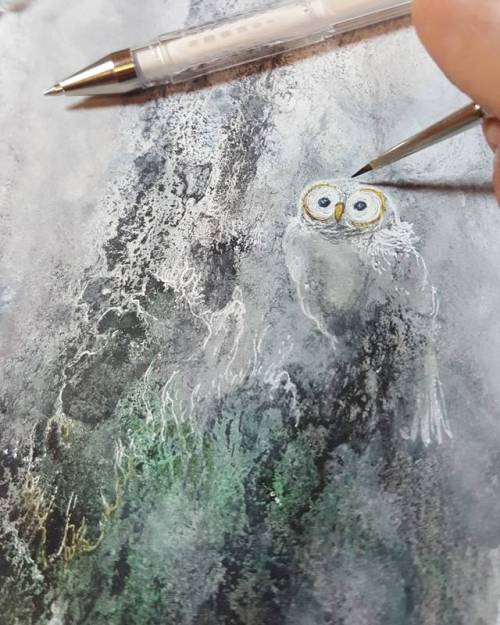 shadowscapes-stephlaw:An owl