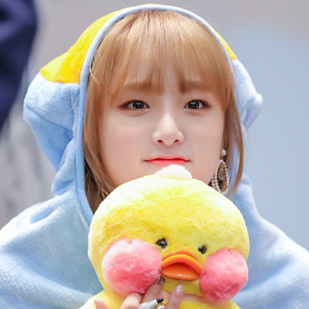 yena icons like or reblog