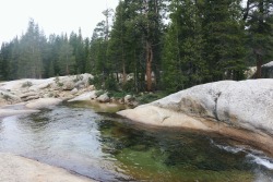 nuhstalgicsoul:  Tuolumne Meadow Campground, Yosemite National Park