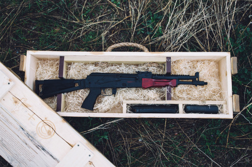 cerebralzero:narphenal:Rifle Dynamics + SilencerCo Summit Package. RD501 SBR chambered in 5.45x39, w