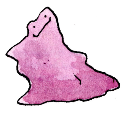 I’ve always wondered if Ditto can transform into a human as well… or inanimate objects for th