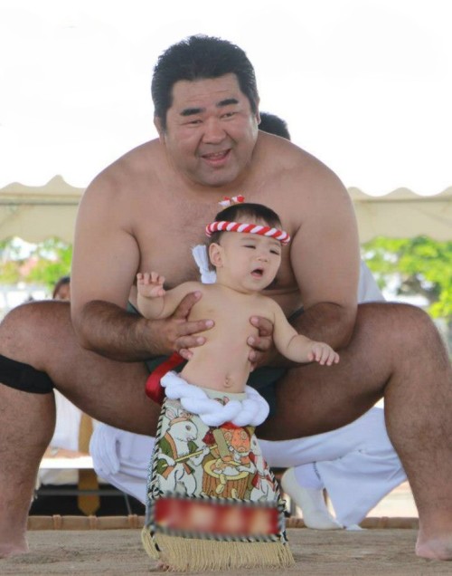 稚児土俵入り - 古仁屋, 瀬戸内, 奄美大島, 鹿児島Baby sumo ring debut ceremony - Koniya, Setouchi, Amami Ōshima, Kagoshim