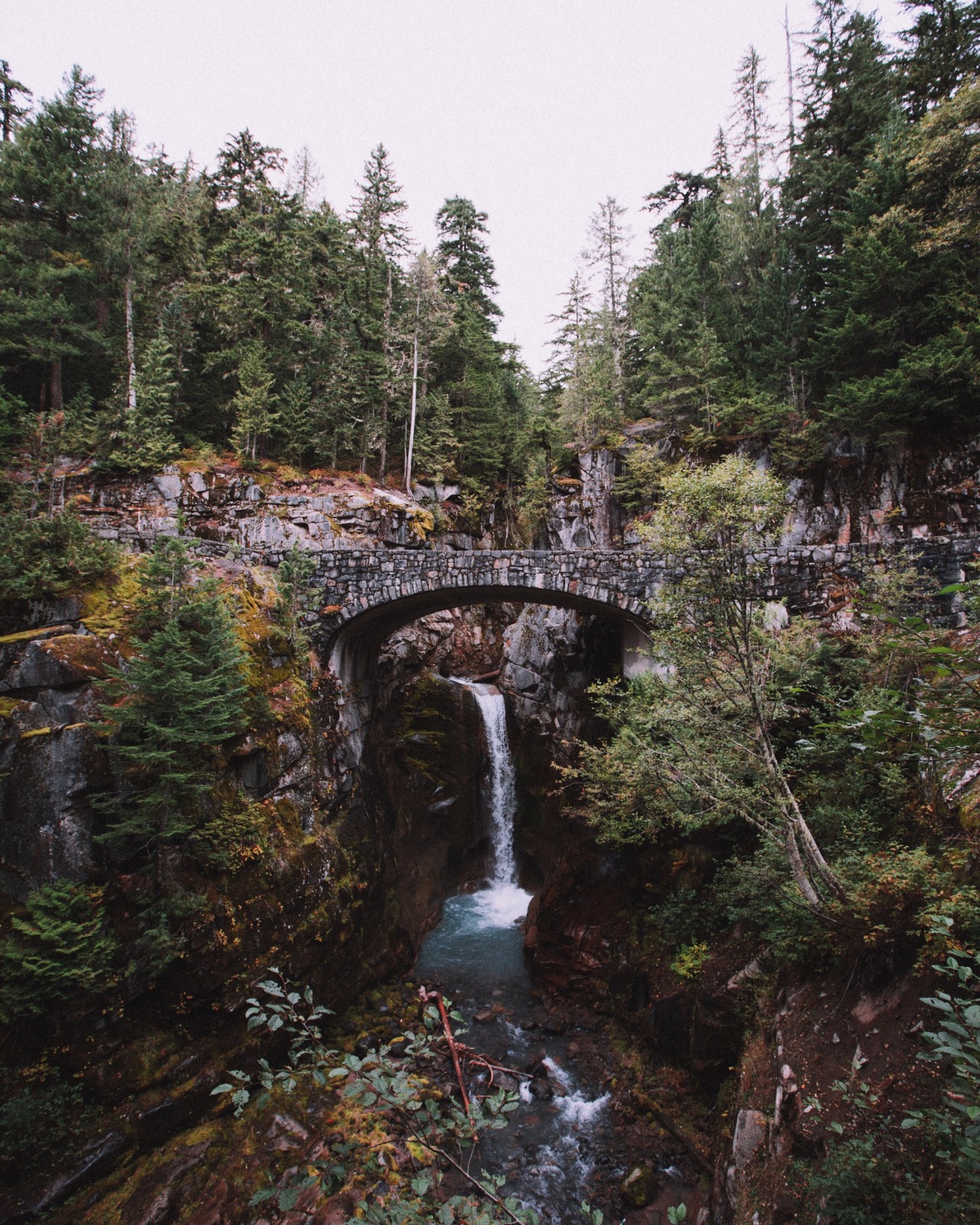 Nature