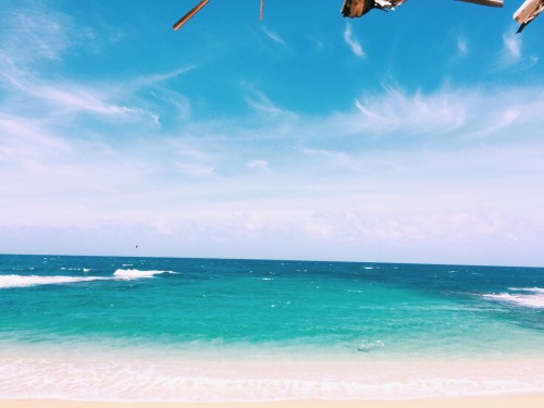 Ocean Baby ☯