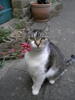 Our dear Fausta died today&hellip;She was 19&hellip;