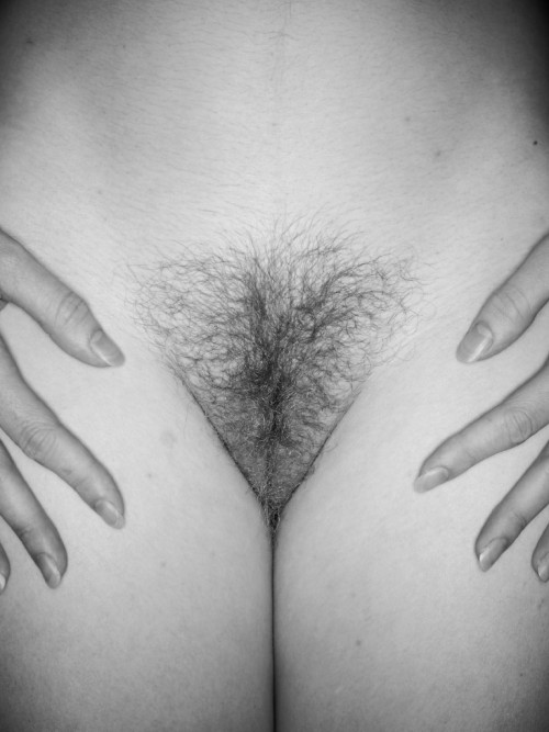 http://hairypussyland.tumblr.com/post/64164084505
