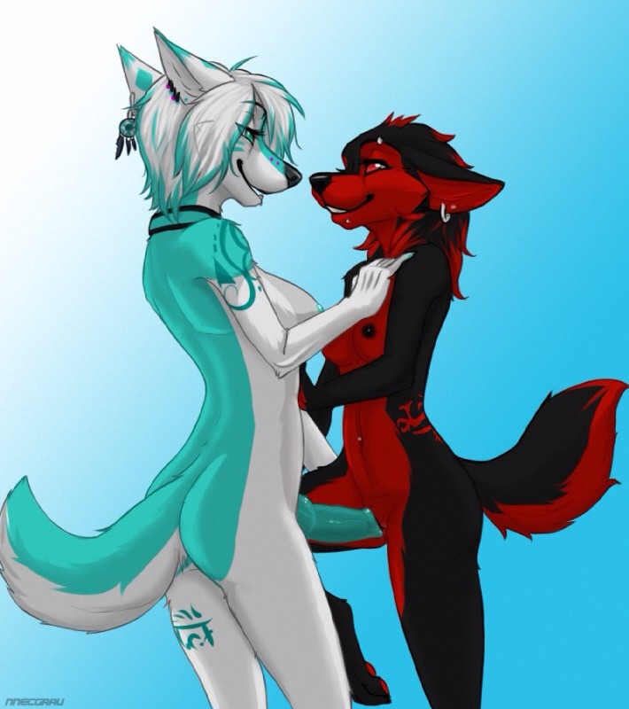 razor4774:  Futa babes