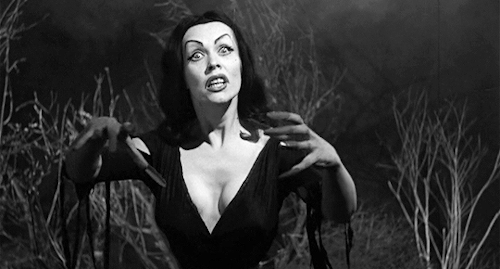 edgarwight:Plan 9 from Outer Space (1959) dir. Edward D. Wood Jr.