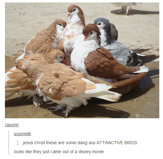 gaiash:  tbotofficial:  The Best of Tumblr #7 #6 / #5 / #4 / #3 / #2 / #1  Mostly