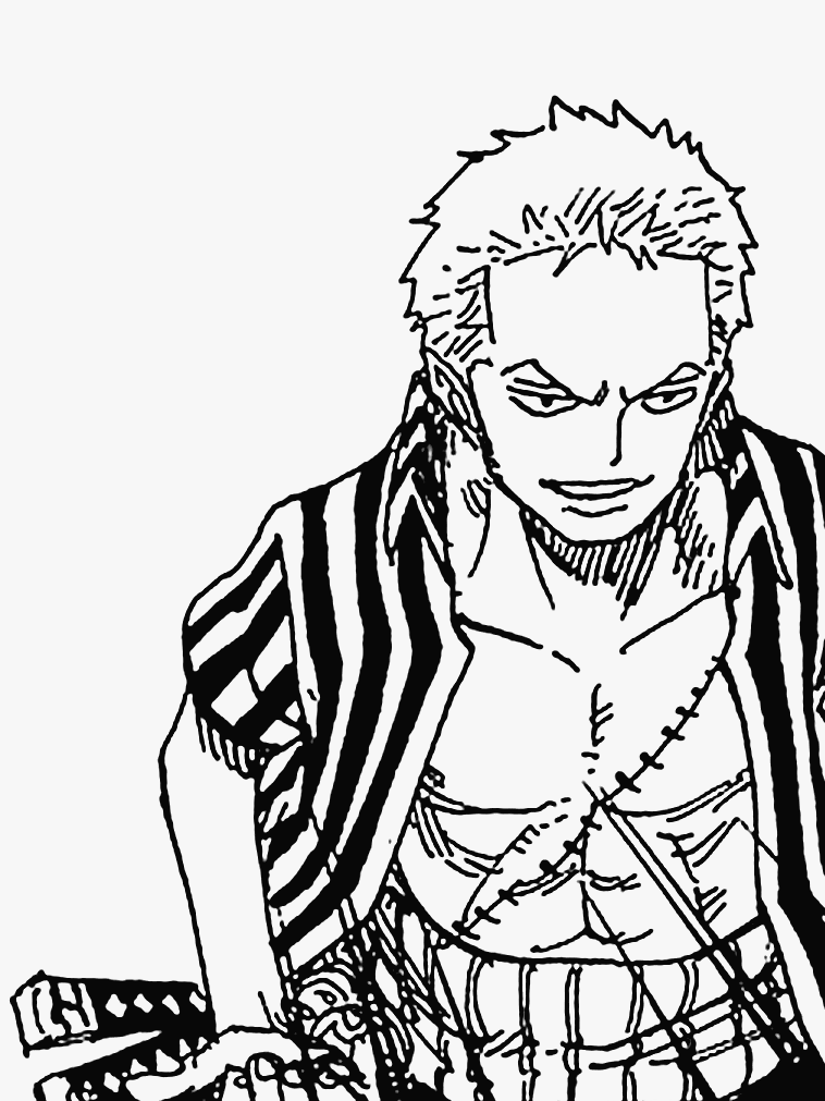 Zoro Understands Luffy Roronoa Zoro Throughout The Years Requested By
