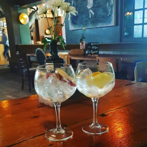 It&rsquo;s gin o'clock already?!? OK! www.instagram.com/p/BvWru7jnzY0/?utm_source=ig_tum