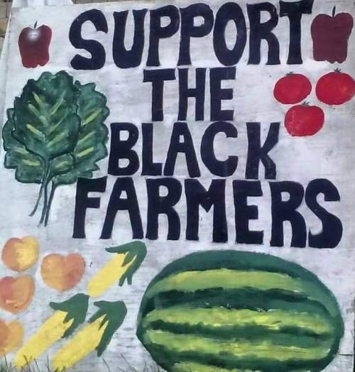 bolaneno:shoppeblack.us/2019/04/black-owned-farms-food-gardens/www.nationalblackfarme