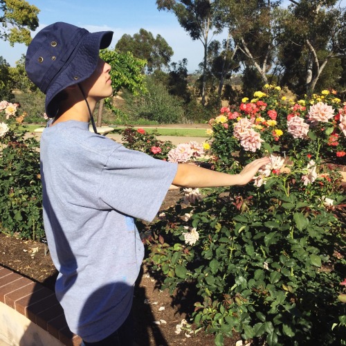 effervescentvibes:   good vibes here 