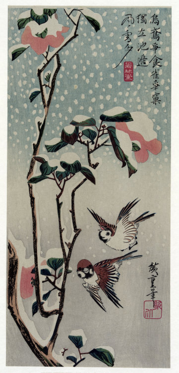 drawpaintprint:Ando Hiroshige: Sparrows and Camellias in the Snow (1838)