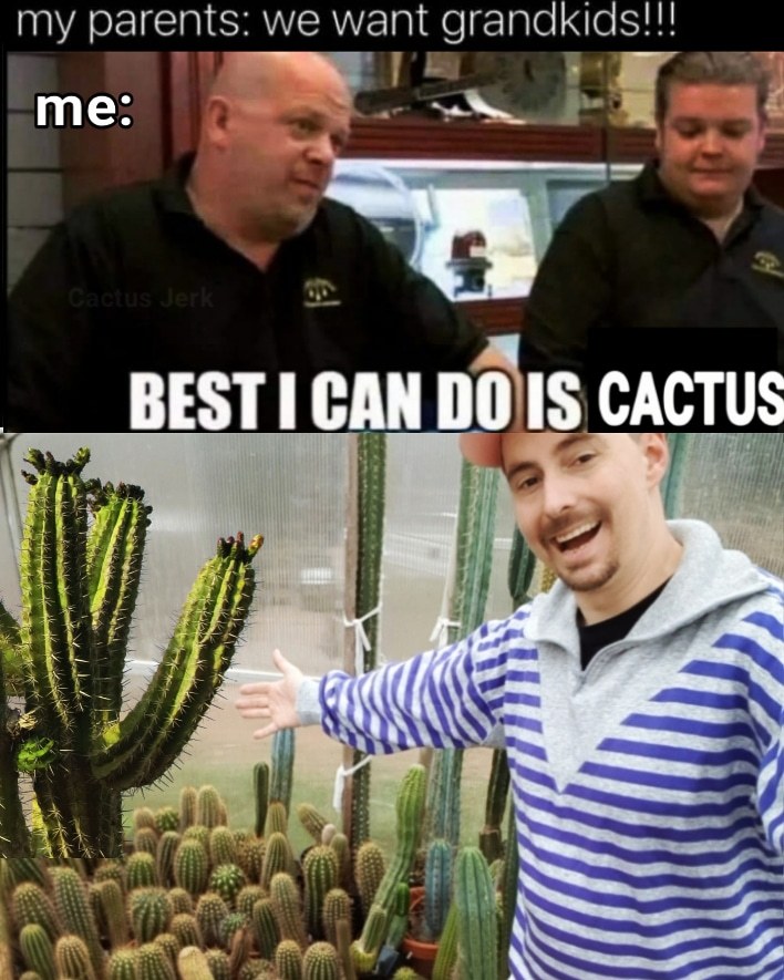 Cactus Jerk