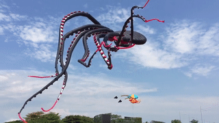 boredoom: sixpenceee:  This giant octopus kite is amazing. I found this gif here.   IS THIS A FUCKIN