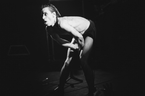 astralsilence: Iggy Pop photographed by Denis O’Regan, London, 1978. 