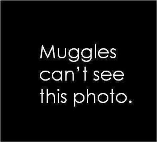 Harry Potter on We Heart It.