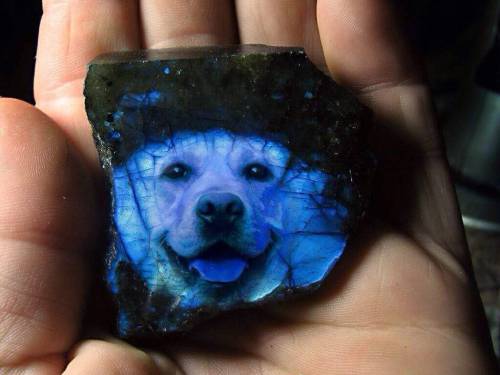 gorgeousgeology: Labradorite… lol