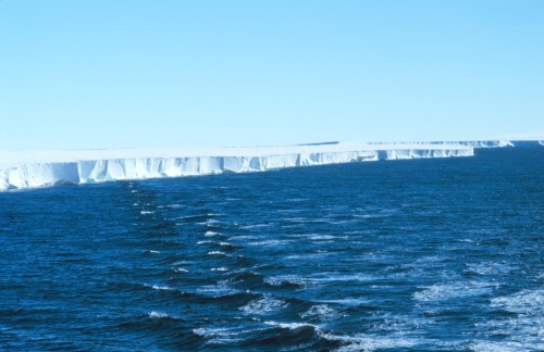 RossIce Shelf (Antarctica, 1997).Iceshelves partially rest on land, and partially float.  Sea ice is
