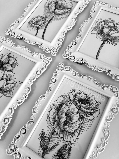 Ink drawings in frames for my shop!Avaliable: borianana.com/en/Boriana Savova / Borianana / 