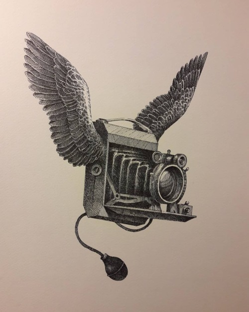 Flying Camera (Dreams) /available/ 2013 / 29x42 / Info at: Info@thewhiteelephantstudio.co.uk  . . . 