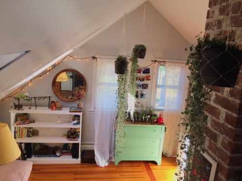 clocharb:here is my room! i feel like i’m living in a magic botanical garden and i couldn&rsqu