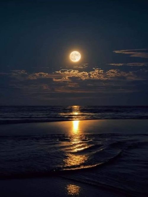 lone-moon-pierrot - Tales of Harmonus