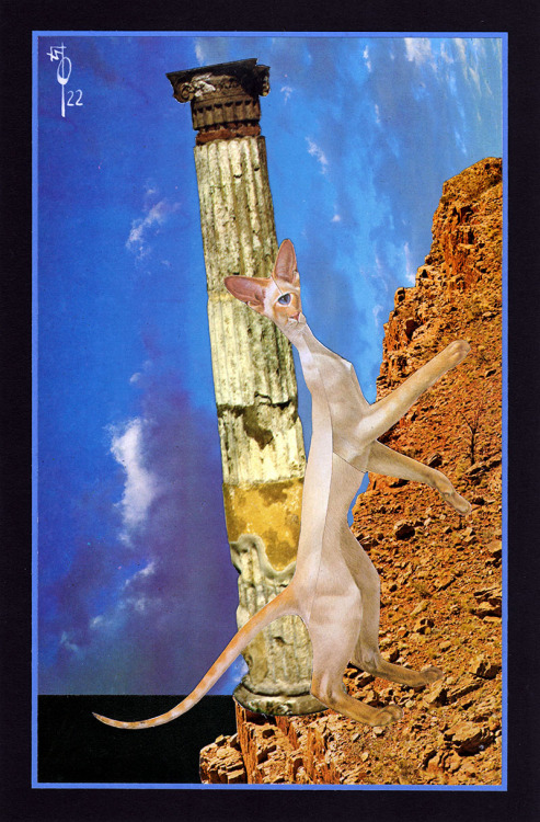 Wallace Polsom, The Scratching Post; or, Revenge at All Costs (2022), paper collage, 19.1 x 29 cm.