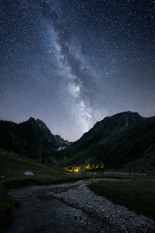 foresity:  Milky Way Time || >Paolo LombardiMilky Way on Prati del Vallone di Pontebernardo - Valle Stura 