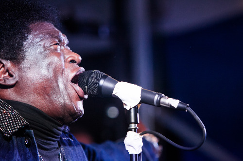 Charles Bradley, SXSW 2015