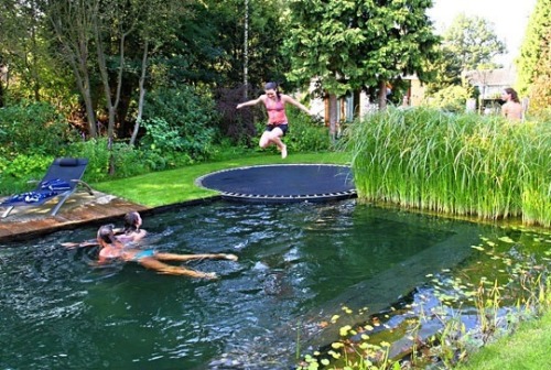 Porn Pics Pool trampoline?! Want!