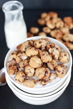 do-not-touch-my-food:  Oatmeal Chocolate Chip Cookie Cereal  dont just reblog, for more go follow skippadap! ☺ http://www.skippadap.tumblr.com ❤