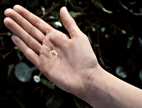 dcff780cf11aaae80927659aaea7dfc55c10d42f.gif