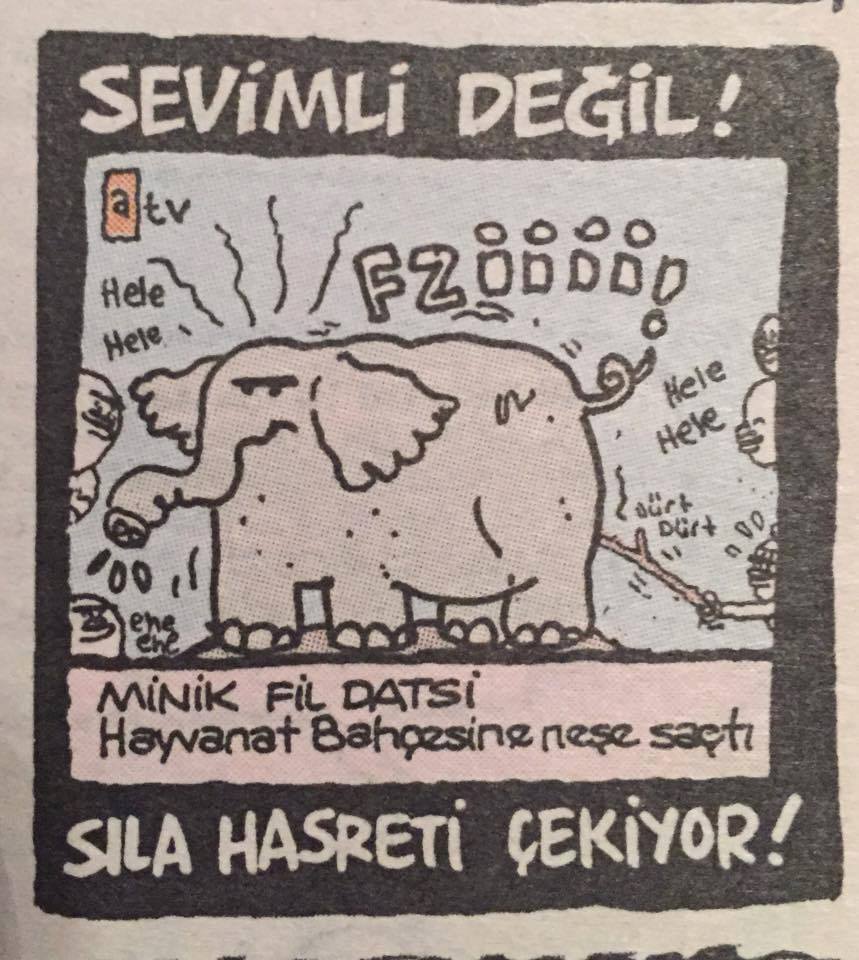 SEVİMLİ DEĞİL!

Minik fil...