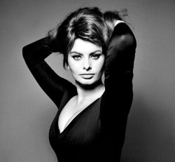 meganmonroes:  Sophia Loren in the 1960s.