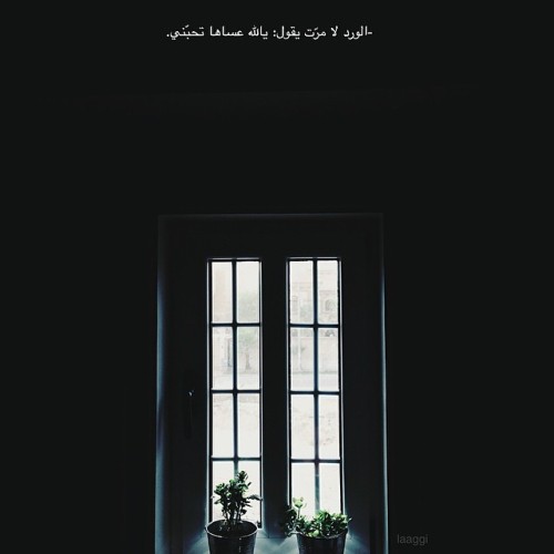 https://gazwanalkhwam.tumblr.com/post/91737277636