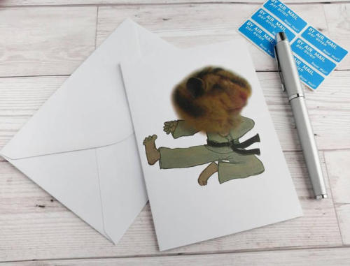 Hamster Dress Up Cards by Mythillogical - Myths and Fabrications Available on Etsy: www.etsy
