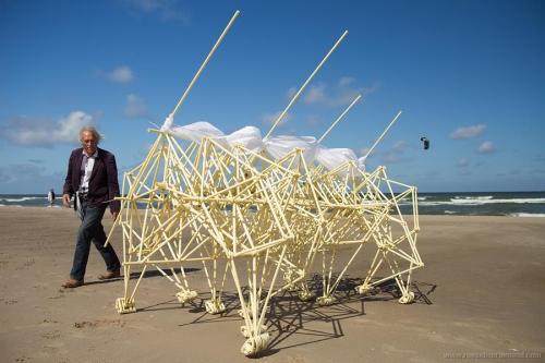 Culture is an acquired taste, something to be sought out and hunted. Strandbeests make perfect pray,