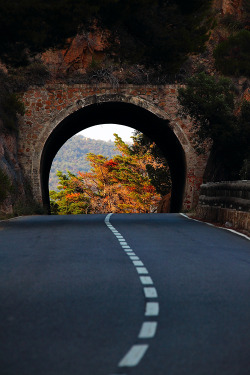 wonderous-world:  Road in August by Sam Dobson