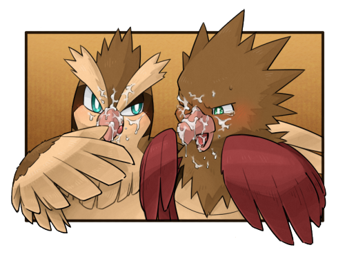 littlelovelypokemon: Squawk?? - Squawk! p-p… I want more of these birds, really. Spearow hard