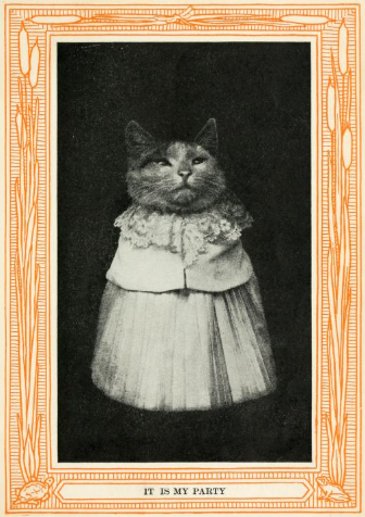 XXX alfea:  i found a book about cats from 1873 photo